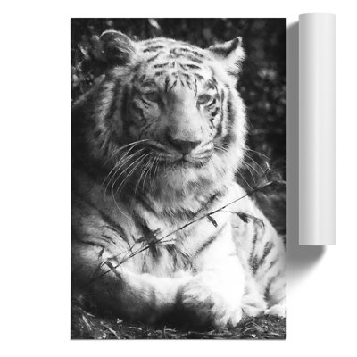 Tiger Painting - Frameless Print