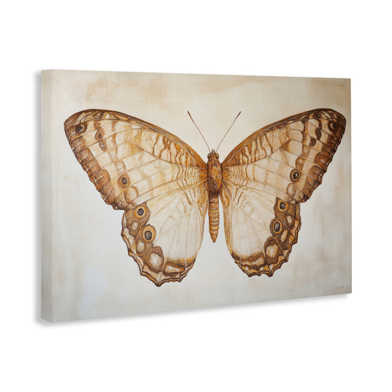 Illustration rétro de sépia papillon, toile par Petal Prints Design, H 16 po x l 24 po