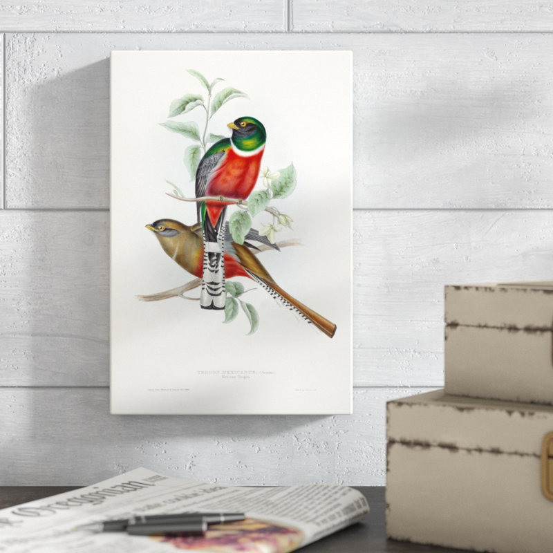 Tropical Trogons V by John Gould - Painting Print, 30cm H x 20cm W, Wrapped Canvas