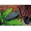 Tuveson Free Style Bird Bath and Feeder Stand 