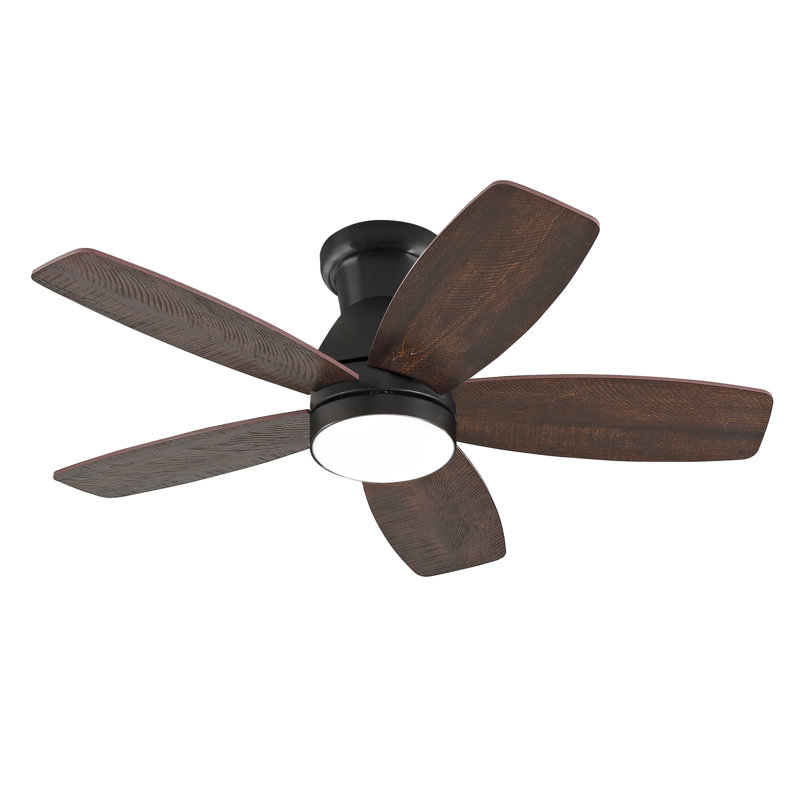 Ventilateur de plafond à profil bas 32 pouces avec lumière et télécommande, moteur à courant continu silencieux à intensité variable, pour l'intérieur et l'extérieur de la chambre à coucher, noir