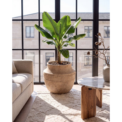 Plant Pot ASKIO 56 cm Beige