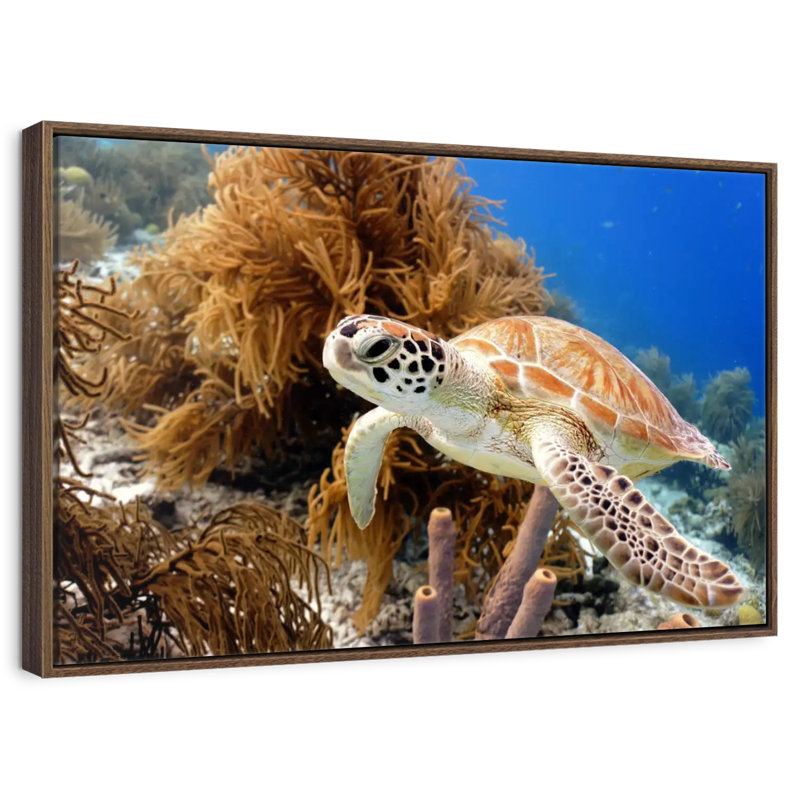 Tortue de récif, 31 po x 21 po, Cadre flottant noyer