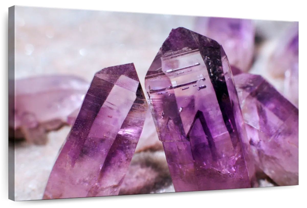 Amethyst Purple Raspberry Millwood Pines Alvord Purple Amethyst | Wayfair