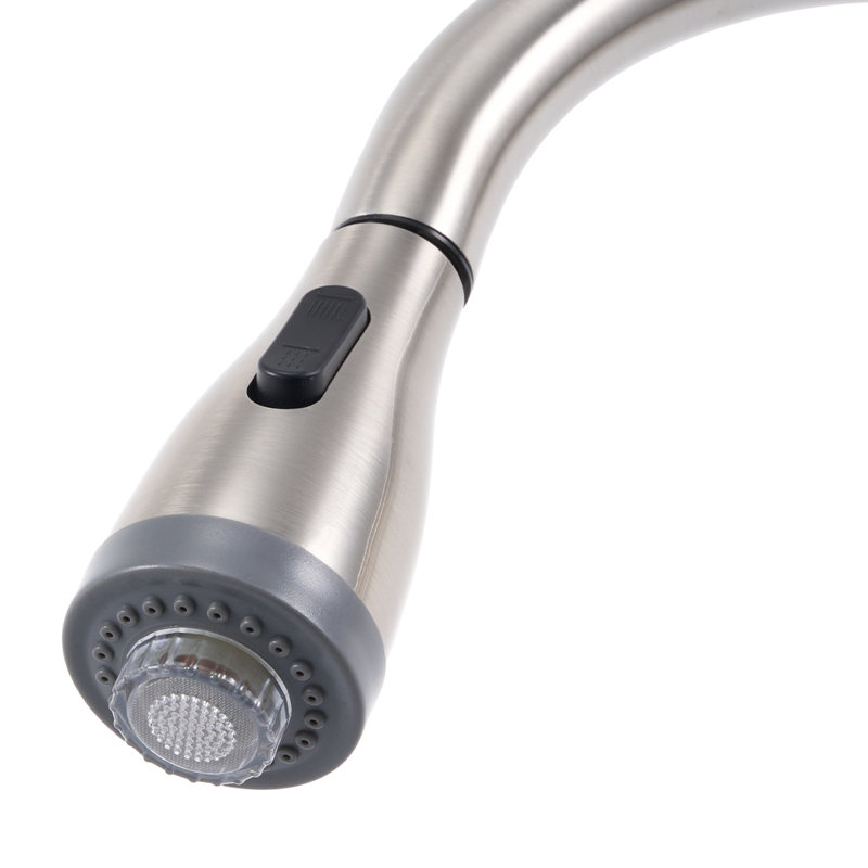 Belfry Kitchen Pull Out Kitchen Faucet, Silver