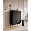 Apolonija Laminate Accent Cabinet-937552066