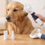 Brosse à chat pour chats et chiens-125302063