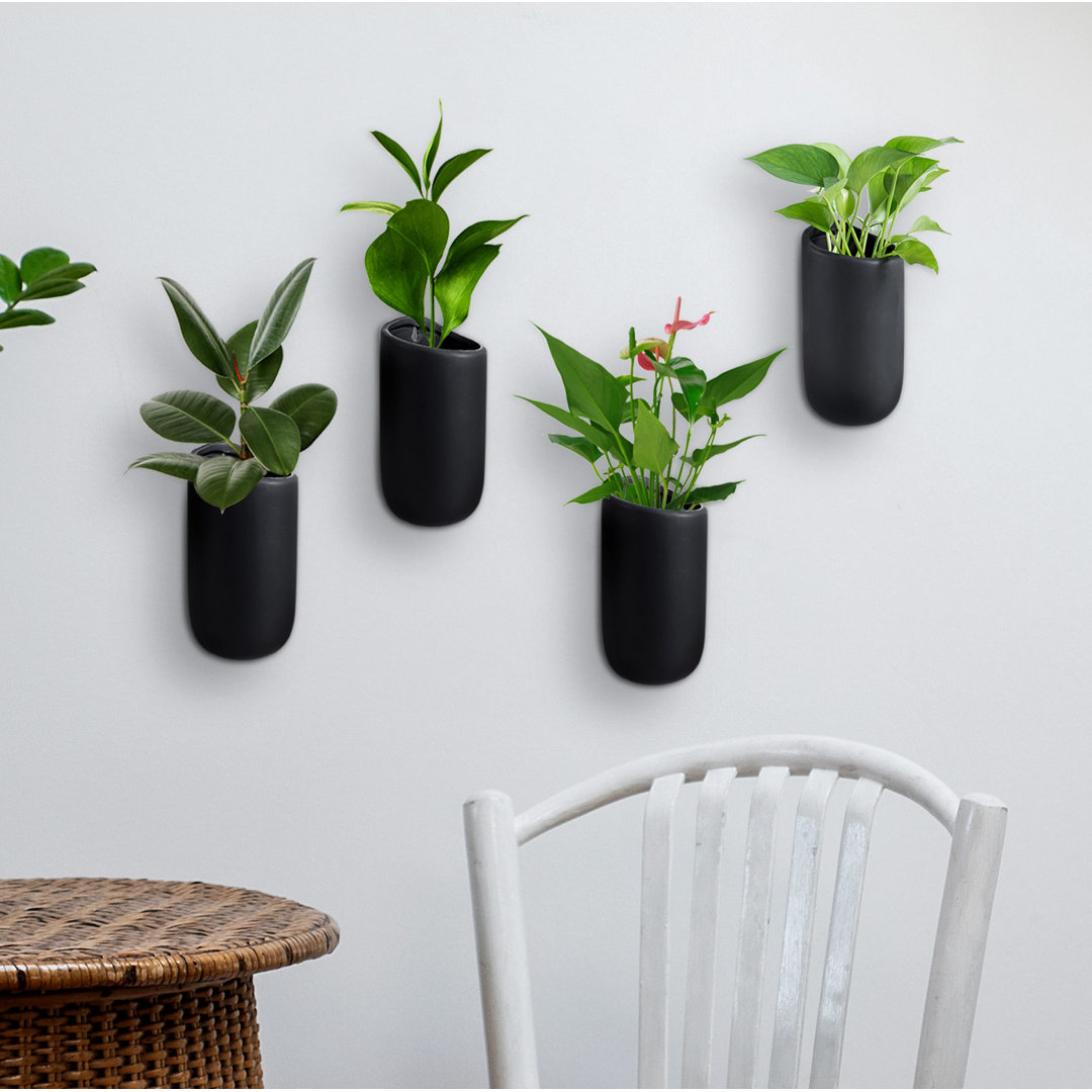 Starbella Cylindrical Ceramic Wall Planter (Set of 4) Ebern Designs