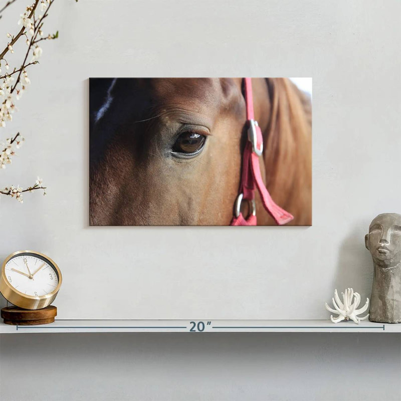 Brown Horse Eye, 8" H x 12" W