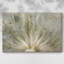 Toile tendue Macro Dandelion IV-Gallery-1316926572