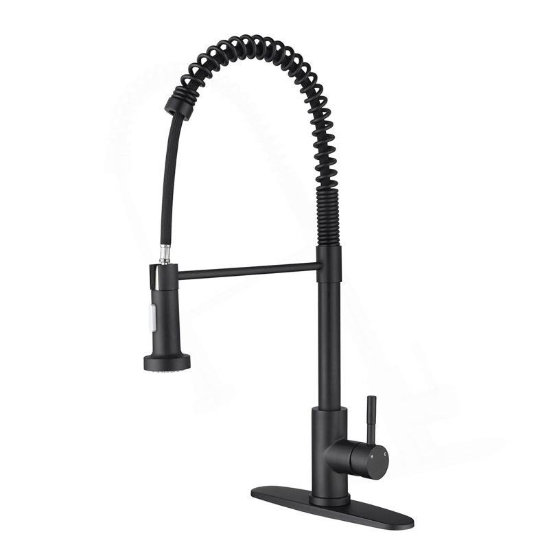Robinet de cuisine avec douchette extractible