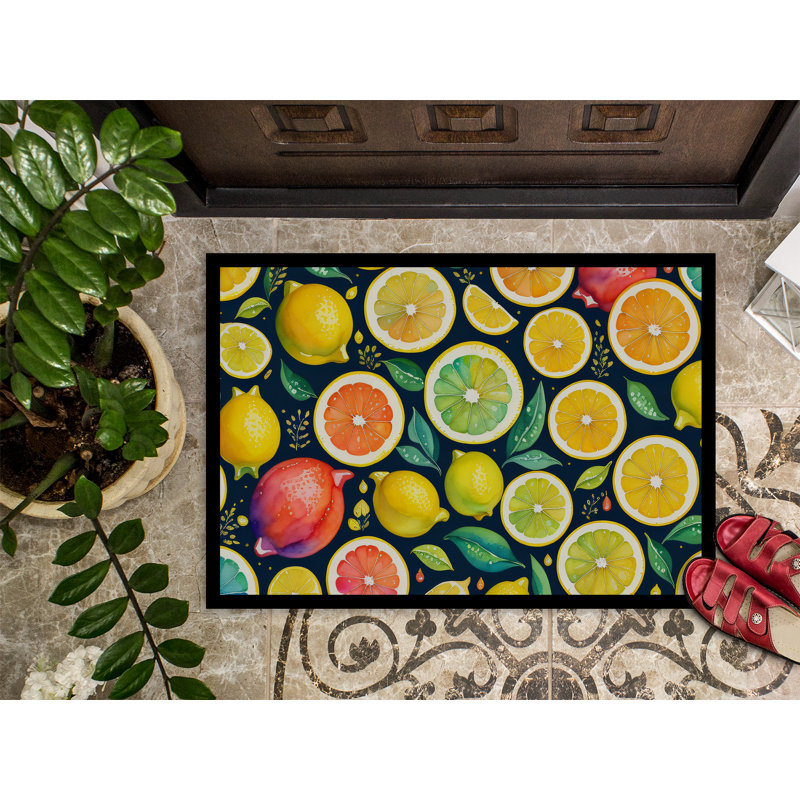 Tapis d'intérieur ou d'extérieur 24 x 36, L 18 po x L 27 po