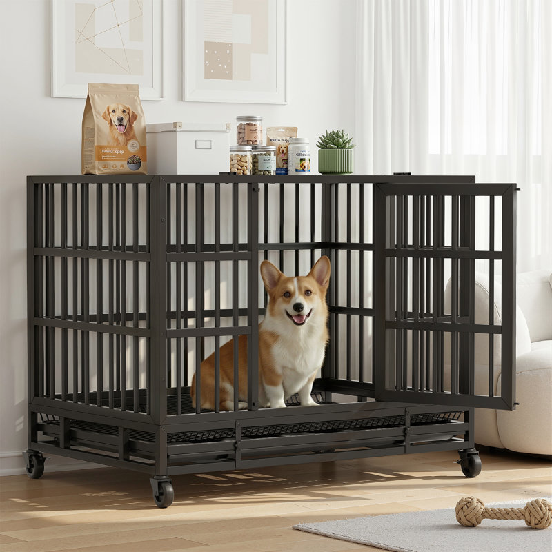 Cage pour chien robuste Stratford, H 30,7 po x l 36,2 po x P 25,5 po