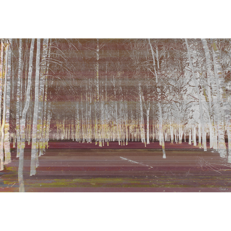 Parvez Taj - Wrapped Canvas Print, 76cm H x 114cm W