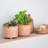 Cragsmoor Handmade Pot Planter