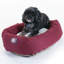 Traversin Patrice-11097552-3917847
