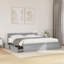 Storage Bed-58558671-58558675
