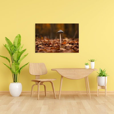 Forêt d'automne, champignons, bio, abstrait, paisible, affiche murale