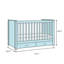 Armandale 2 -in-1 Convertible Crib-1957171469
