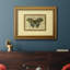 Butterfly Harmony II - cadre photo, impression sur toile-1887920205