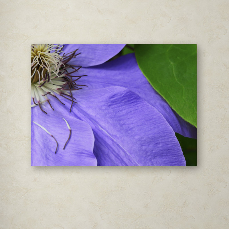 Purple Clematis Abstract Canvas Art Print