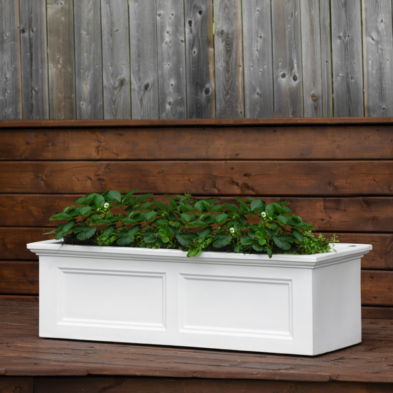 Boîte à fleurs avec réservoir 48 "Tolmino, Blanc, 14'' H x 48'' W x 18'' D
