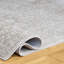 Tapis oriental Adirondack-956344627
