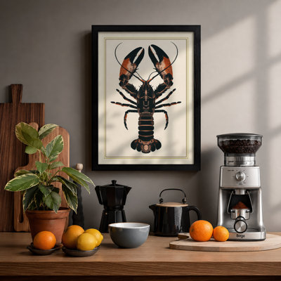 Lobster Specimen Vintage - Framed Print