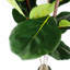 180cm Faux Tree in Pot Liner