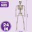 2 PCS 24” Halloween Skeleton Decor