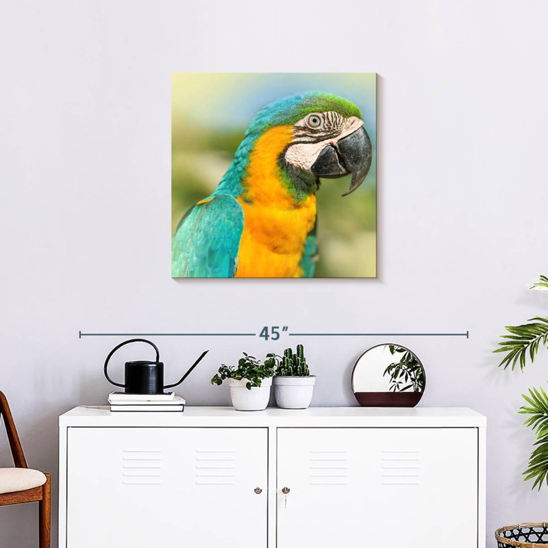 Brampt Parrot, 24" H x 24" W