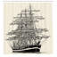 Pirate Ship Shower Curtain Set + Hooks-44327984