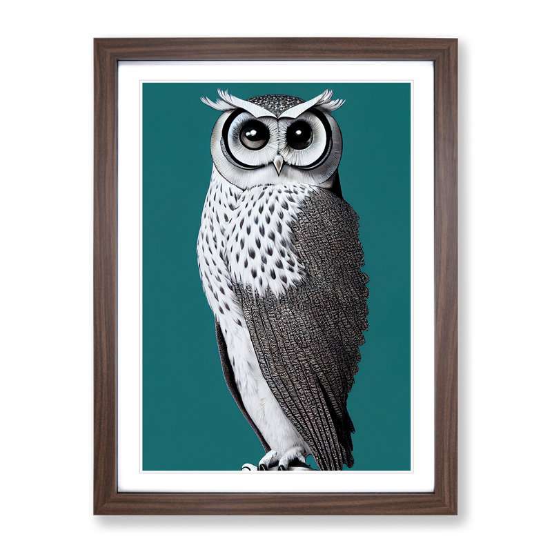 Curious Owl - Single Picture Frame Print, 34cm H x 25cm W x 2cm D, Walnut