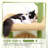 Cactus Cat Tree Tower - Sturdy Cat Condo With Scratching Posts, Hammock, And Anti-Tip Kit For Small Spaces And Large Cats