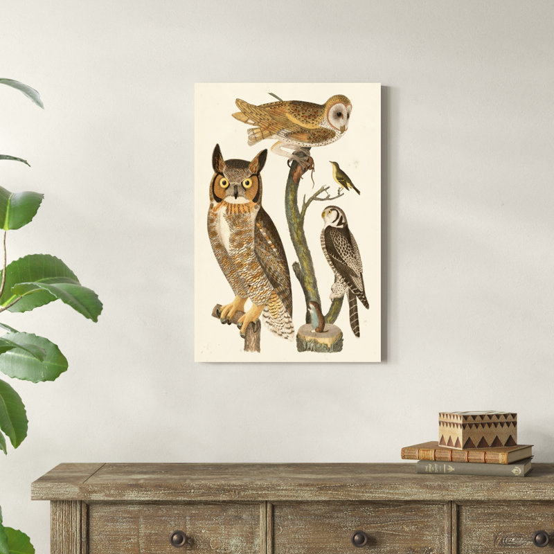 Wilson Owls I, H 30 po x l 20 po x P 1 po