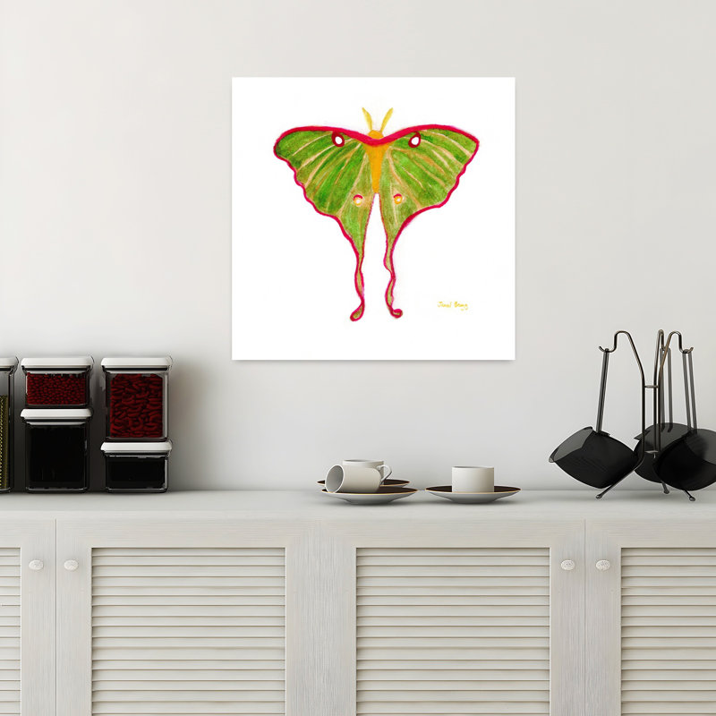 Contemporary Art Contemporary Moth Wall Art by Janel Bragg - Wrapped Canvas Print, 45.72 cm H x 45.72 cm W