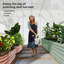 9.68 Ft W x 6.56 Ft D Hobby Greenhouse