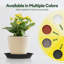 Soucoupes pour plantes robustes en plastique 10 po (paquet de 6)-1146336222-1146647298