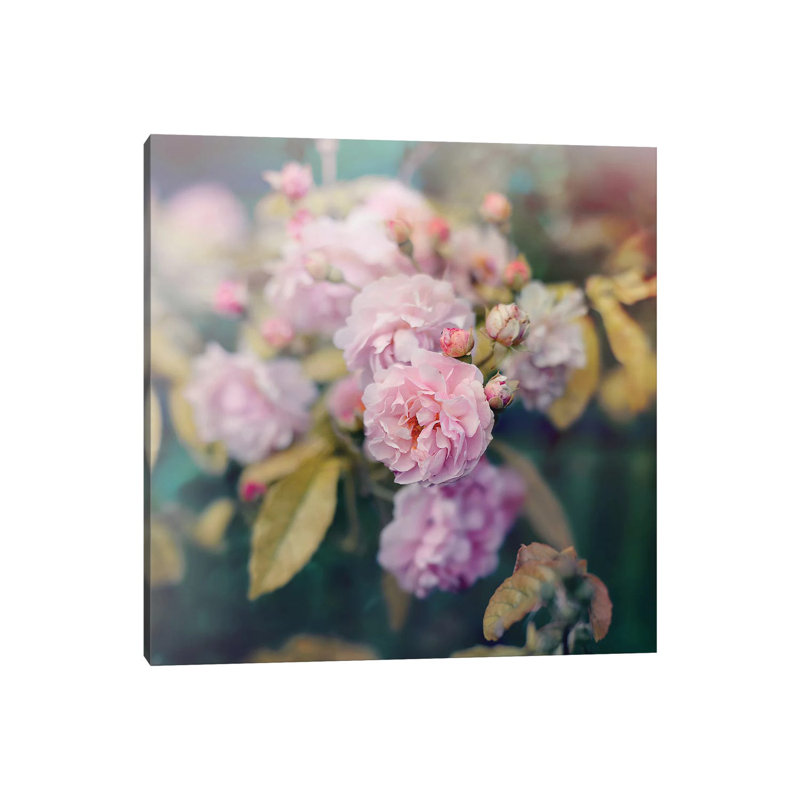 Season Of Blossoms by Sarah Gardner - Wrapped Canvas Print, 66.04 cm H x 66.04 cm W x 3.175 cm D