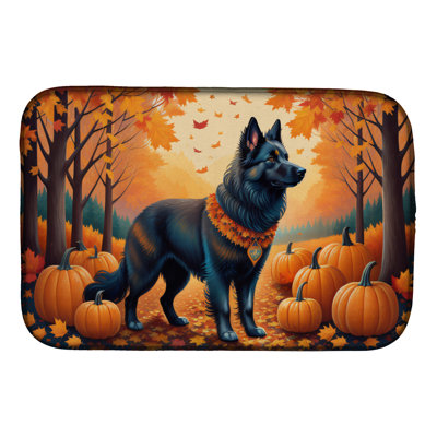 Drying Mat