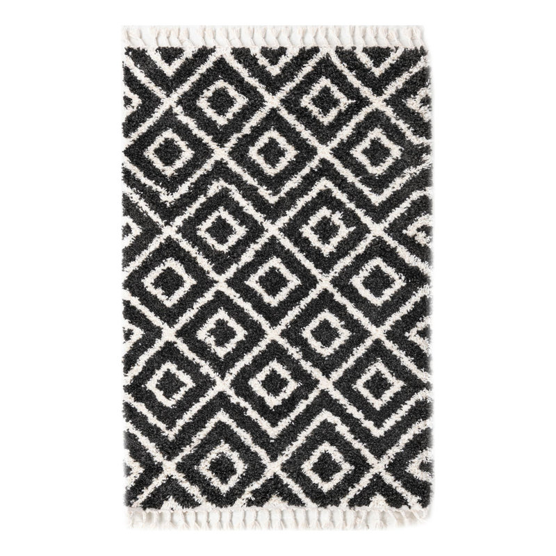 Bikales Geometric Indoor Rug, Rectangle 4' x 6'