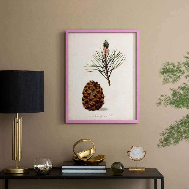 Étude d'arbre antique V, reproduction encadrée - bois massif, Rose, H 11 po x l 9 po