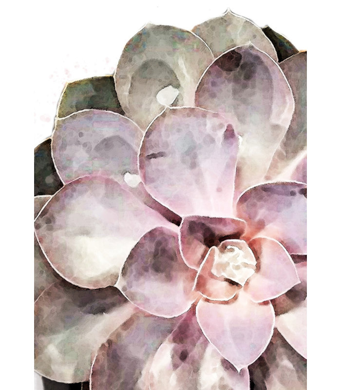 «Succulent Gros plan», art mural texturé encadré, Blanc, H 40 po x l 30 po