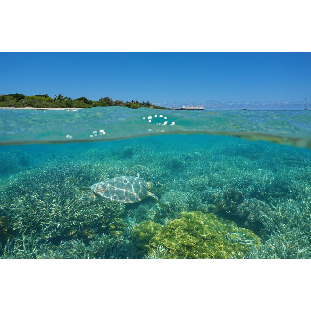 Leinwandbild Über Unterwasserschildkröte und Insel mit Resort