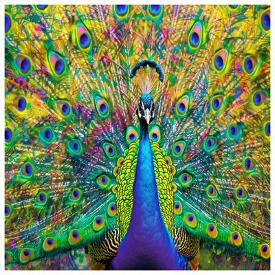 Vibrant Peacock Feathers Bedding Peacock Bedspread Animals