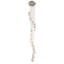 Alans 13 - Light Chandelier-1336313833