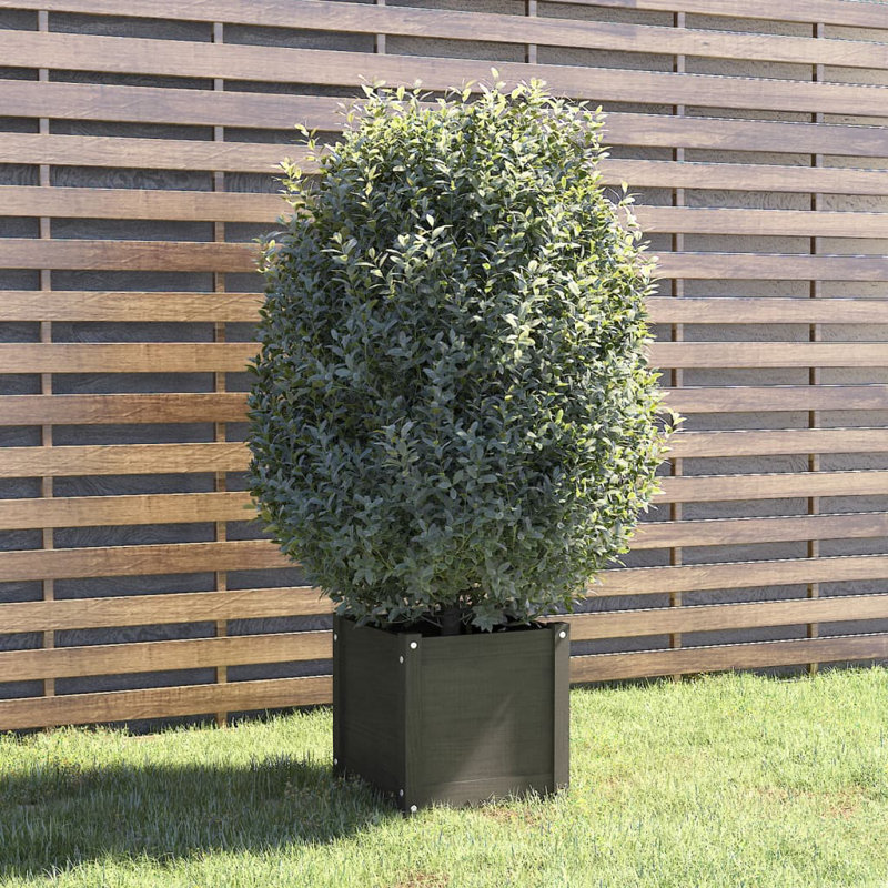 Boite à fleurs en boites, H 19,7 po x l 19,7 po x P 19,7 po, Gris