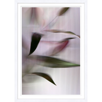 Screen Safer 2 Framed Photographic Print