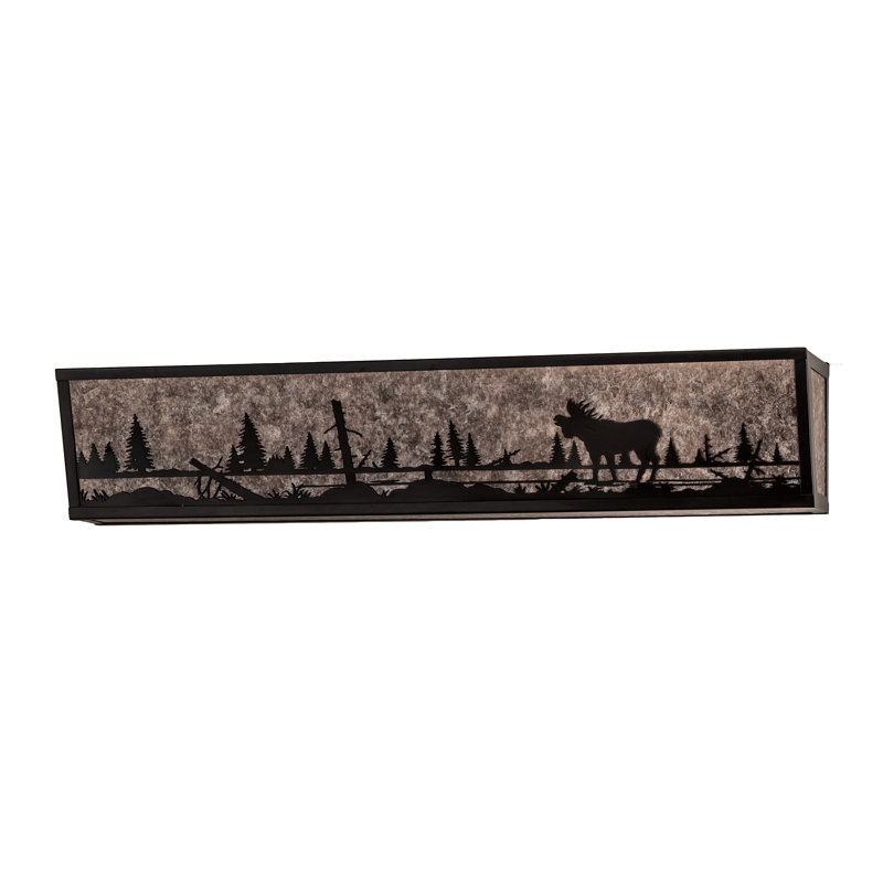 Barre d'éclairage de salle de bain 4 lumières Moose at Lake, Argent, A19