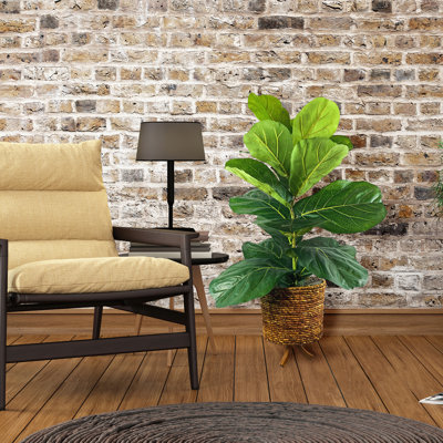 4-Foot Fig in Basket Stand